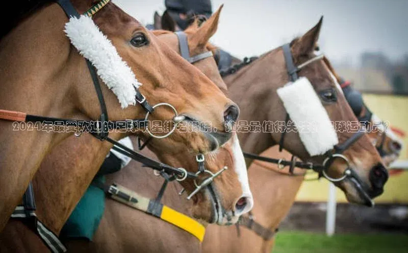 非凡娱乐appARGA公司2024年最受欢迎的足球明星排名揭晓，谁是最值得关注的足球运动员？