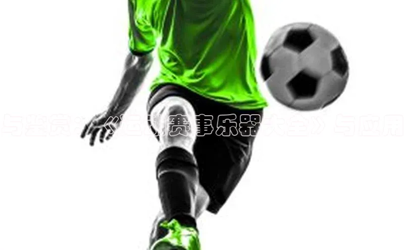 2121非凡足球网页版百度数据开放平台与鉴赏：《运动赛事乐器大全》与应用