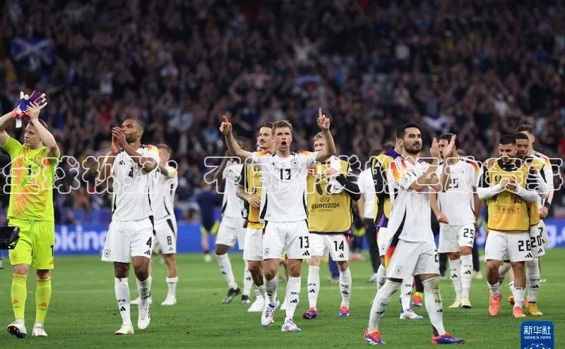 全球视野：不同种类的运动赛事