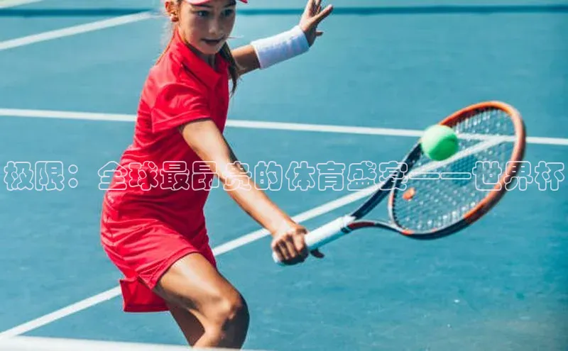 极限：全球最昂贵的体育盛宴——世界杯