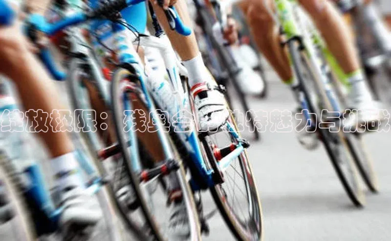 绽放极限：残奥会的独特魅力与挑战