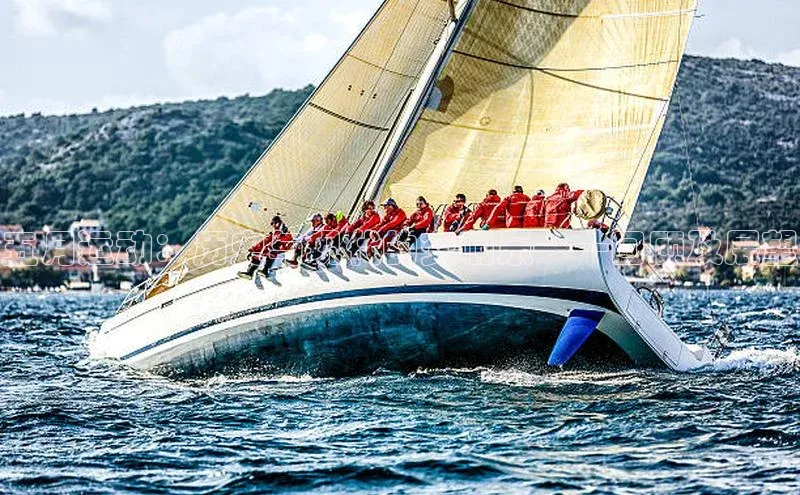 五月运动：历史与现代的交响乐——回顾及展望