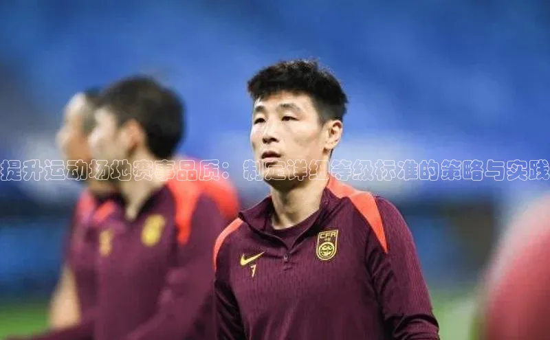 提升运动场地赛事品质：制定详细等级标准的策略与实践