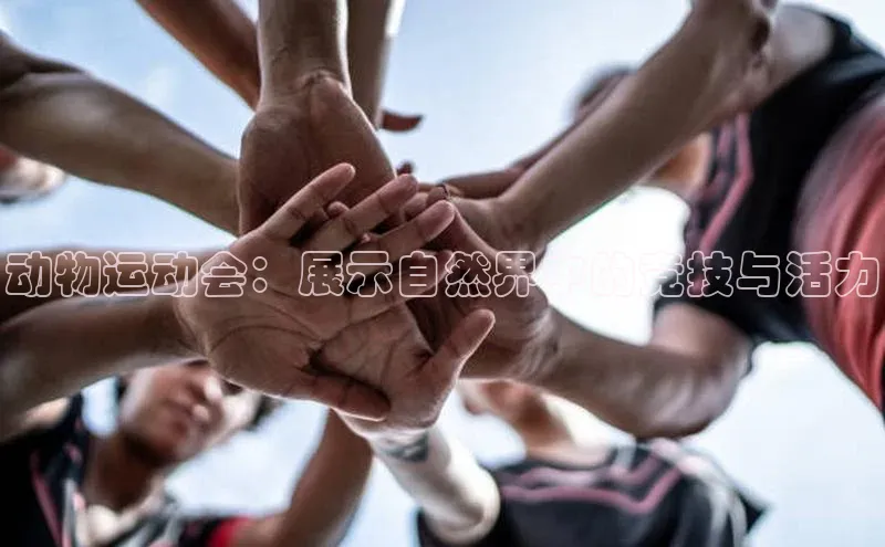 动物运动会：展示自然界中的竞技与活力