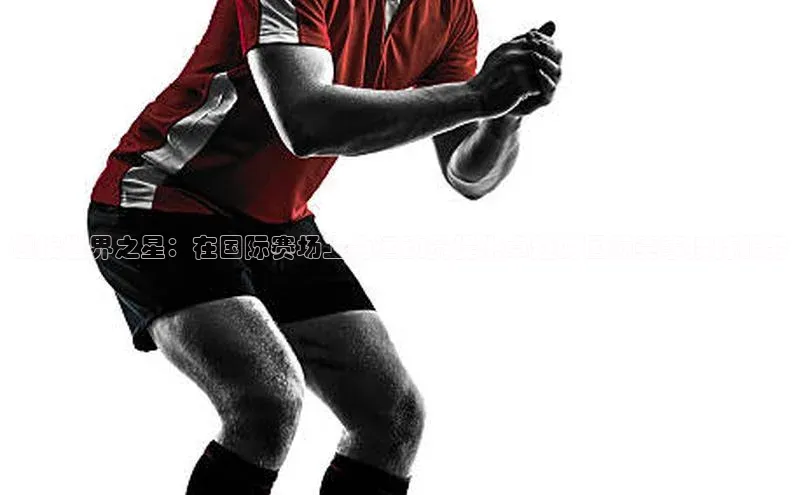 迎接世界之星：在国际赛场上为运动员提供卓越的国际赛事接待服务