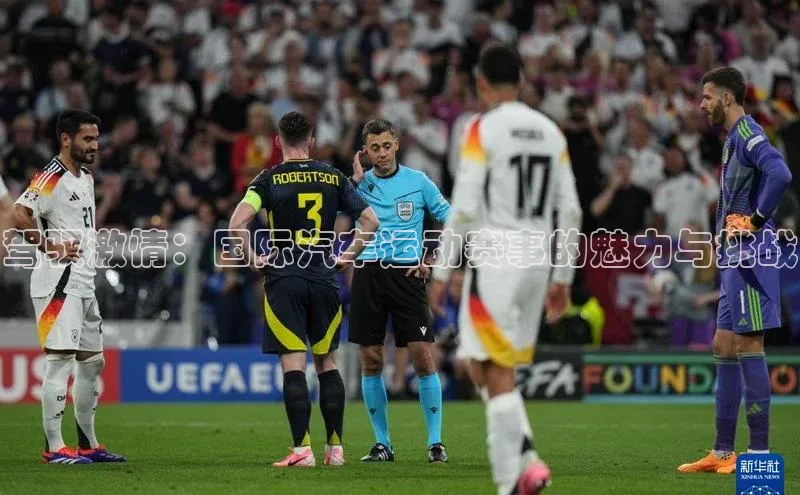 非凡体育2121app官网版