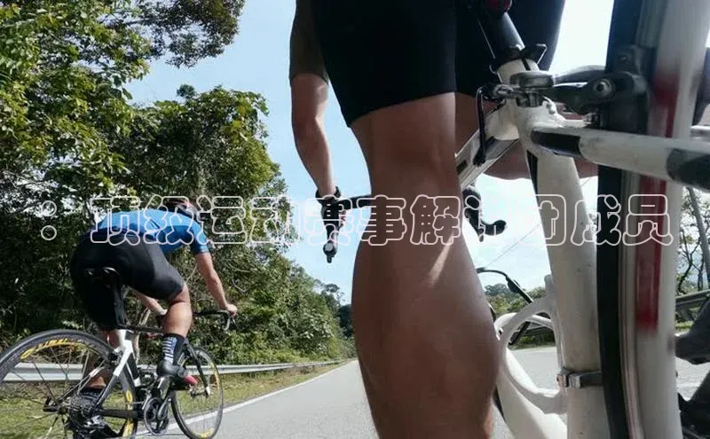 ：顶级运动赛事解说团成员