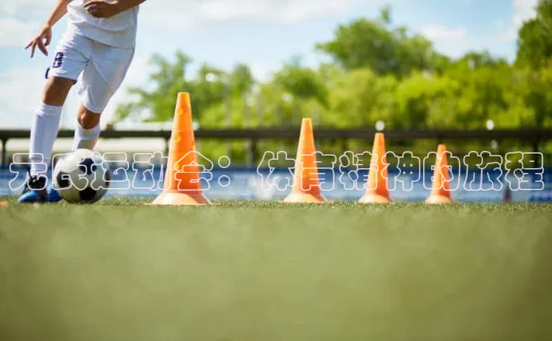 元氏运动会：体育精神的旅程