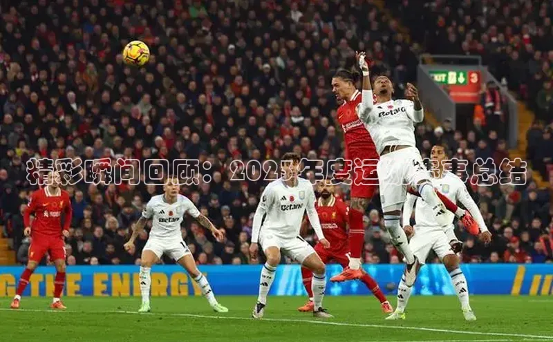 精彩瞬间回顾：2023年度运动赛事总结